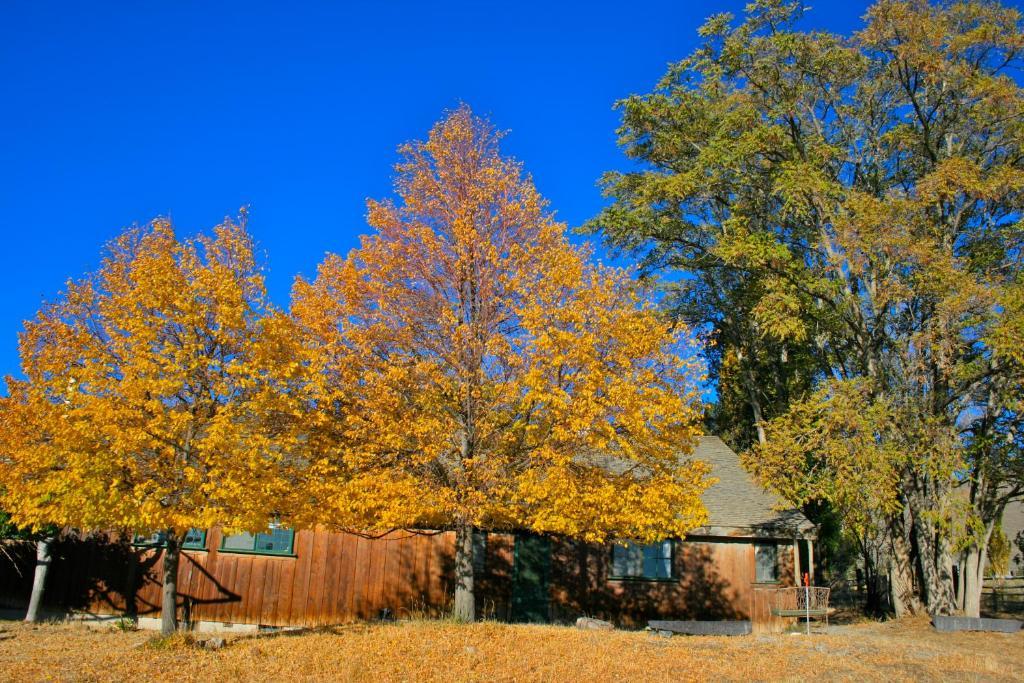 Old Pioneer Garden Country Inn Unionville Exterior foto